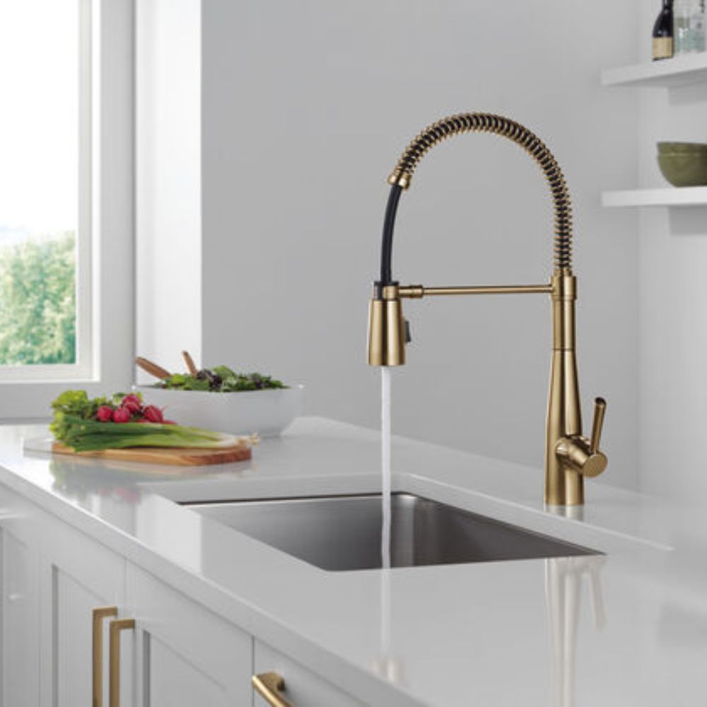 ברז מטבח אסה פרו DELTA